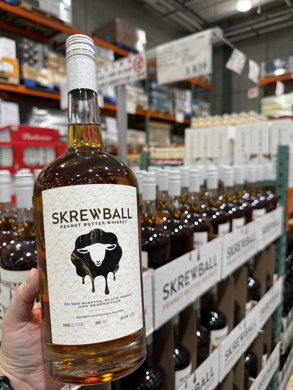 596683665_33241152812142651_4287655944470466178_n