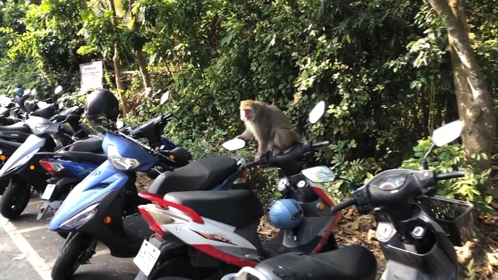 #1_Channel 3---2025_12_15---12_20_40---H264 8 bit---170---split004.mp4_snapshot_03.28.788