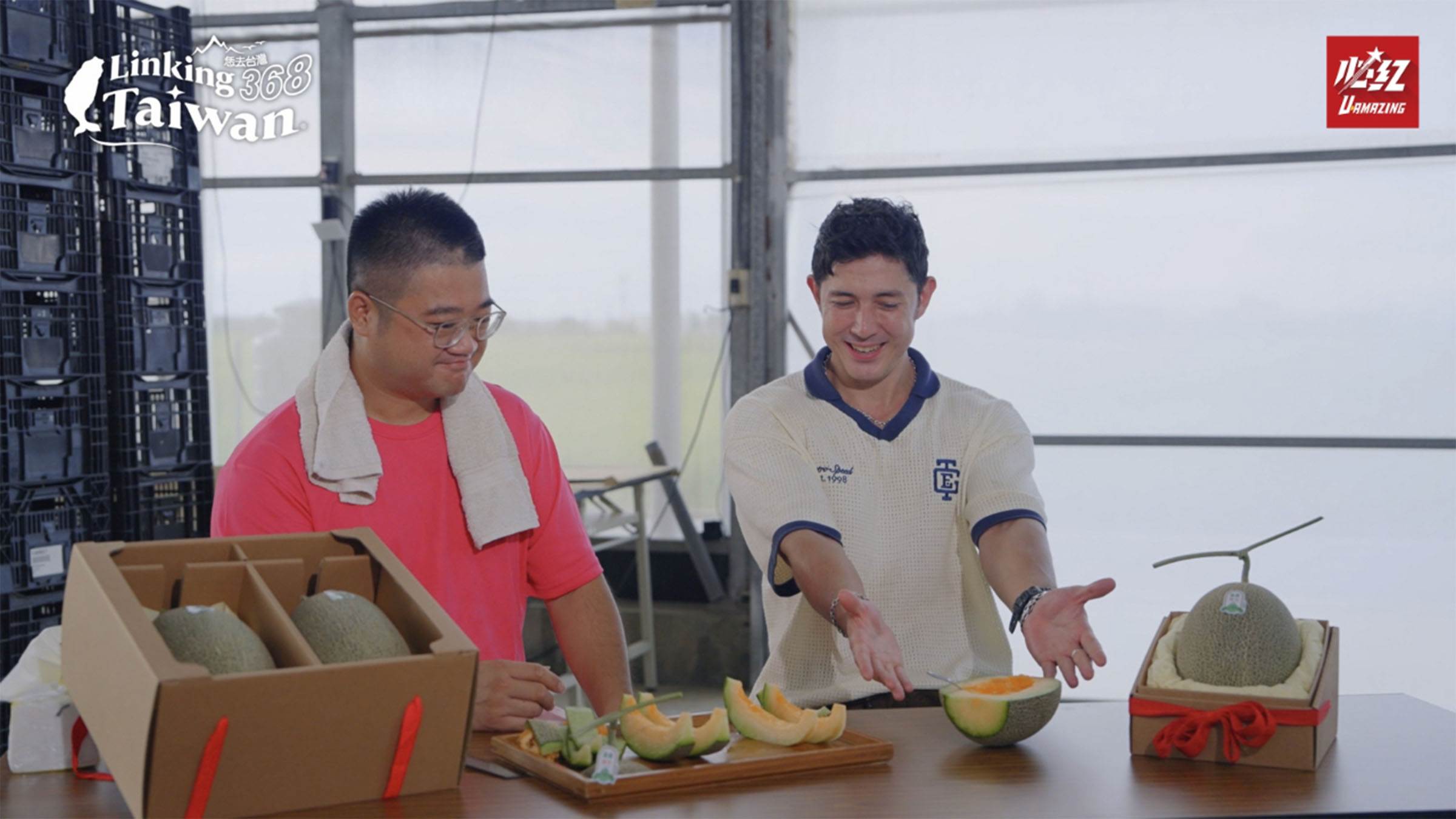 嘉南地區是台灣哈密瓜的主要產地，嘉義縣政府為了推廣精緻農業，2019年在嘉義縣水上及太保率先試種「卡蜜拉」新品種，而目前主要產地就在嘉義太保。（圖／《Linking 368 Taiwan恁去台灣》提供）