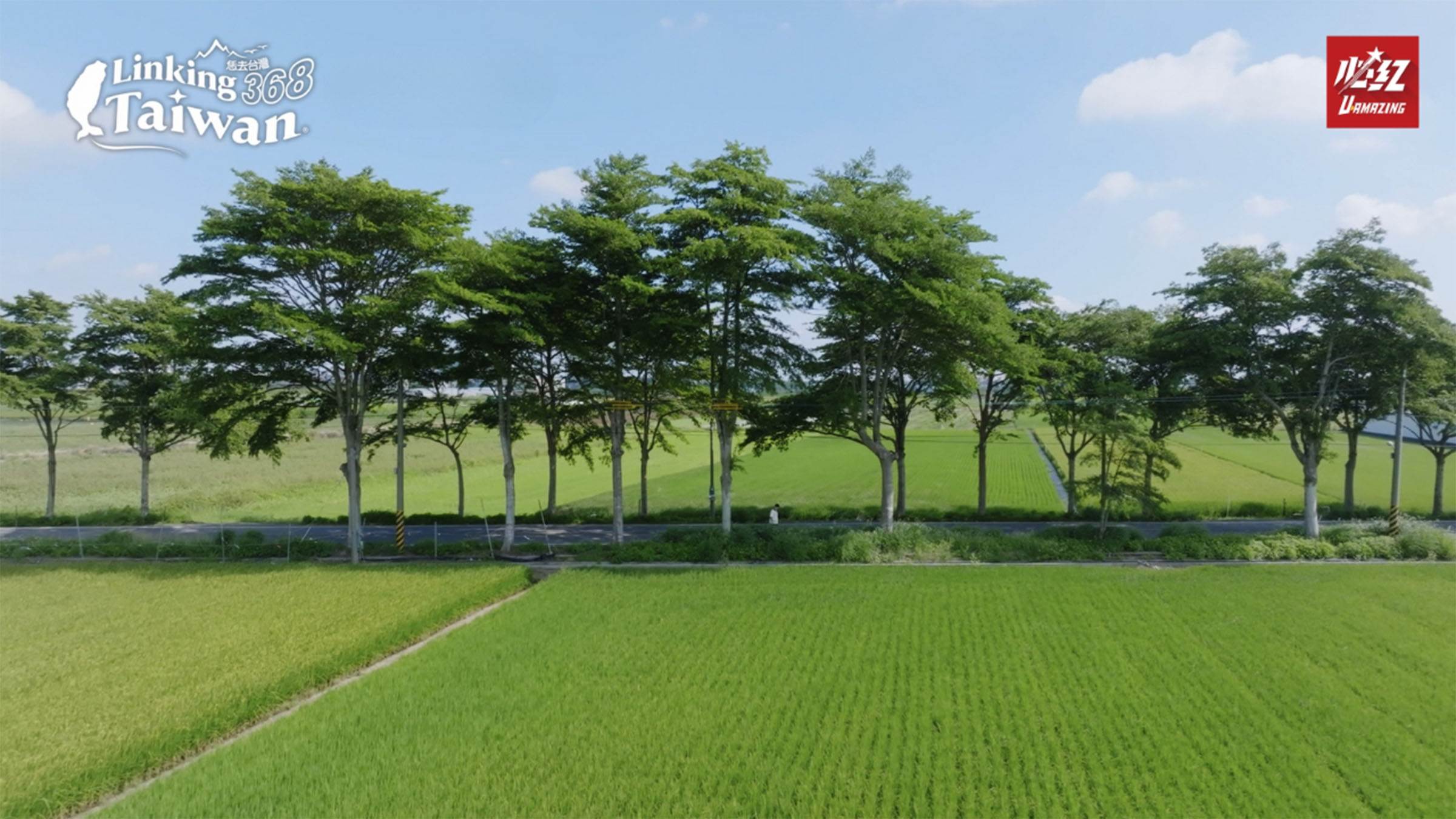 小葉欖仁綠色隧道在太保市的安仁里，而安仁里的緯度23度27分，北回歸線經過本地，所以在社區的入口意象會看到北回歸線意象喔！（圖／《Linking 368 Taiwan恁去台灣》提供）