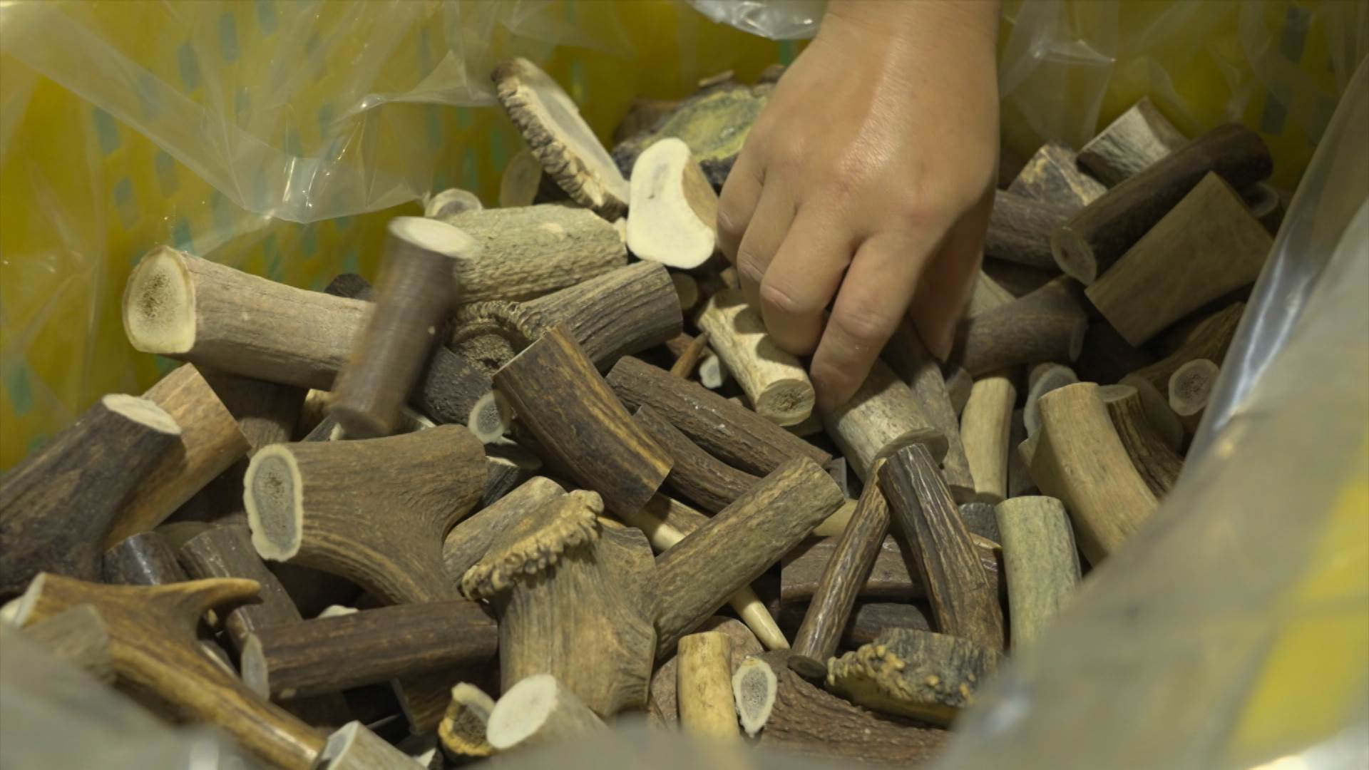 新聞跨營.00_01_57_05.Still046