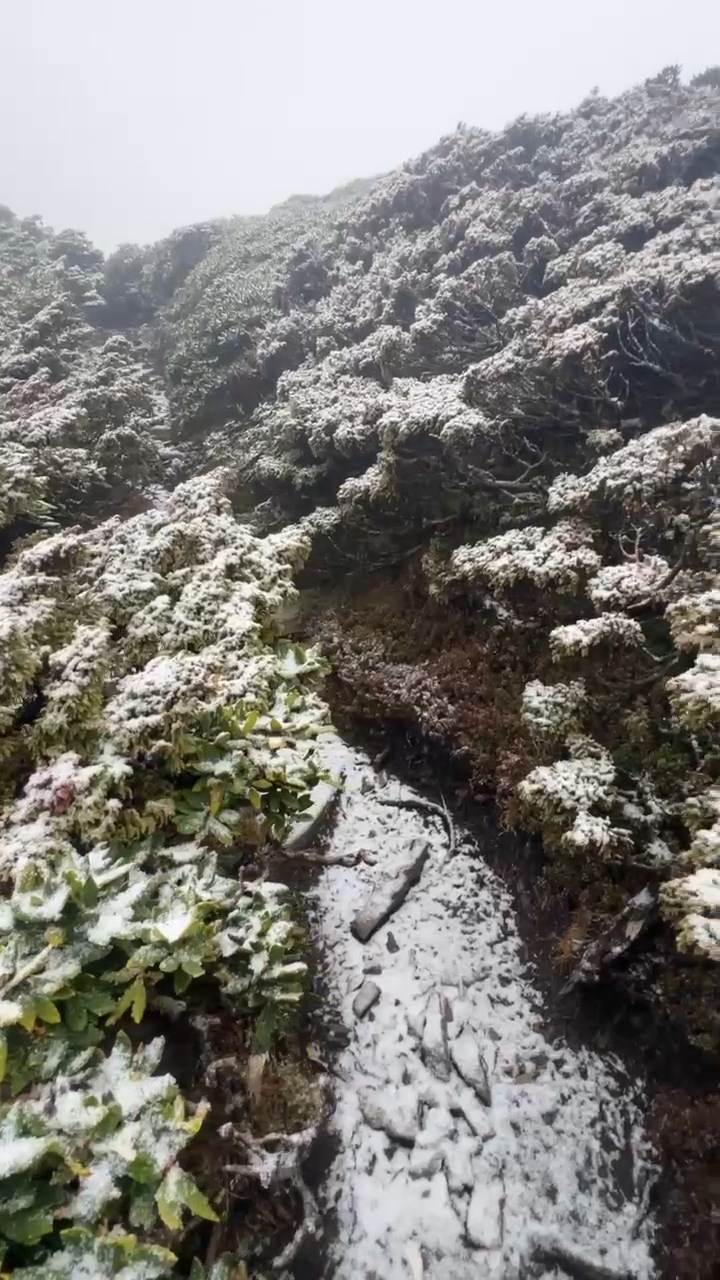 4700CE02E782552C74480819EC29CA9ED3C258E3.mp4_snapshot_00.00.823