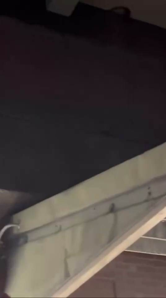 788263284.502224.mp4_snapshot_00.03