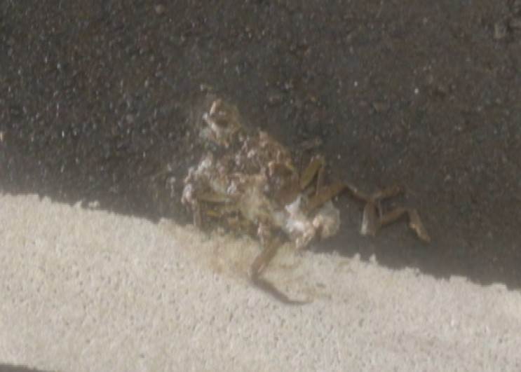 註解 2025-12-28 184935