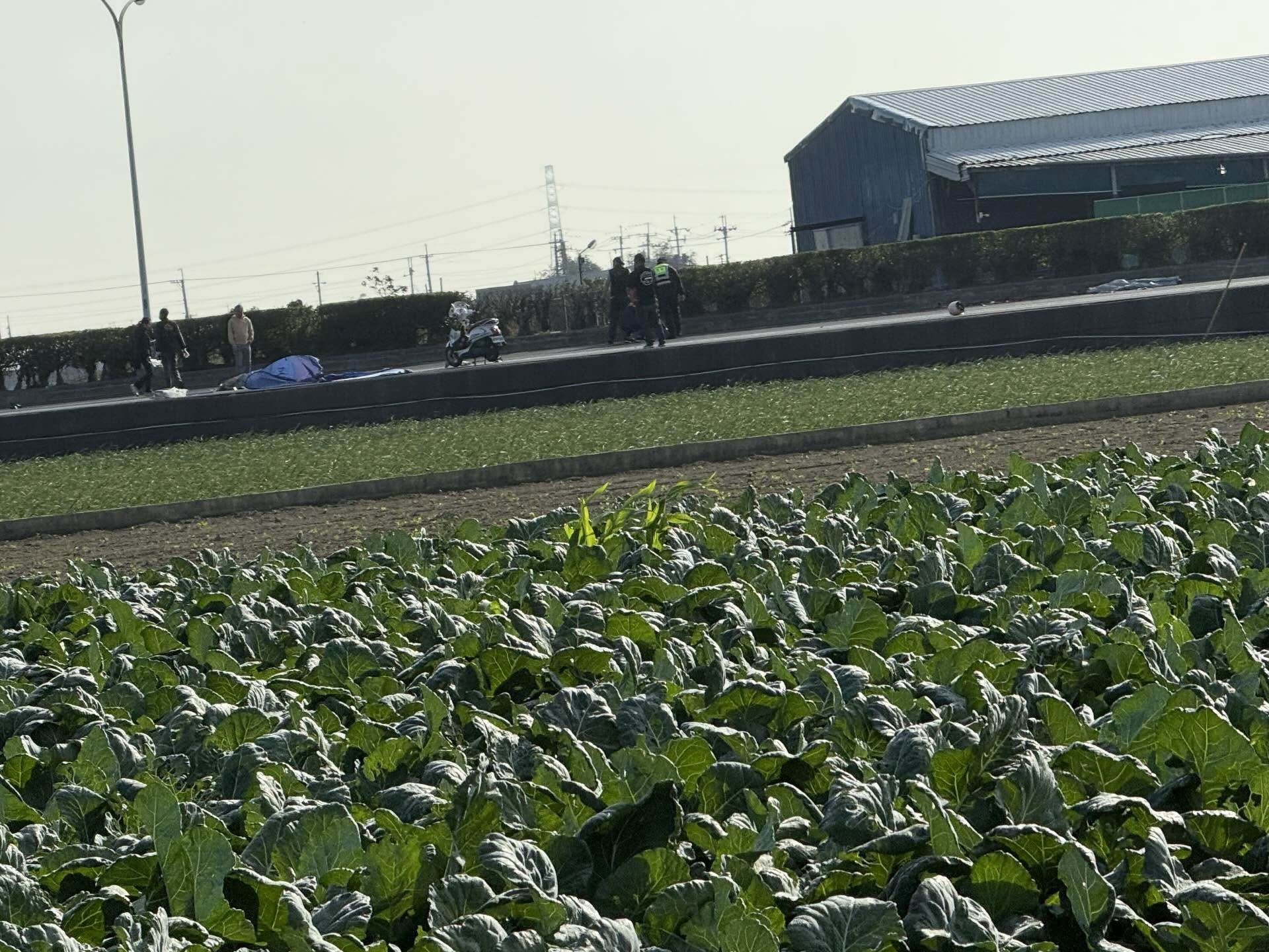 607641251_17858575659576138_2126199738776489888_n