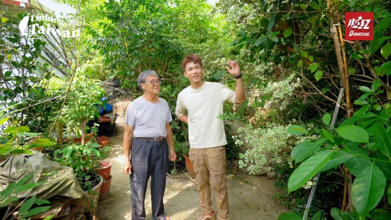 園區也分享檀木等植物應用體驗，展現自然與生活的結合。（圖／Linking368Taiwan提供）