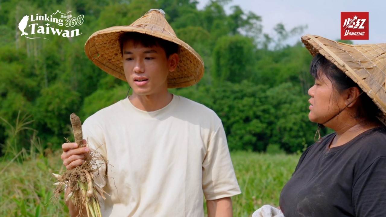 位於左鎮公舘社區的葛鬱金體驗，帶領民眾走進傳統農作文化。（圖／Linking368Taiwan提供）