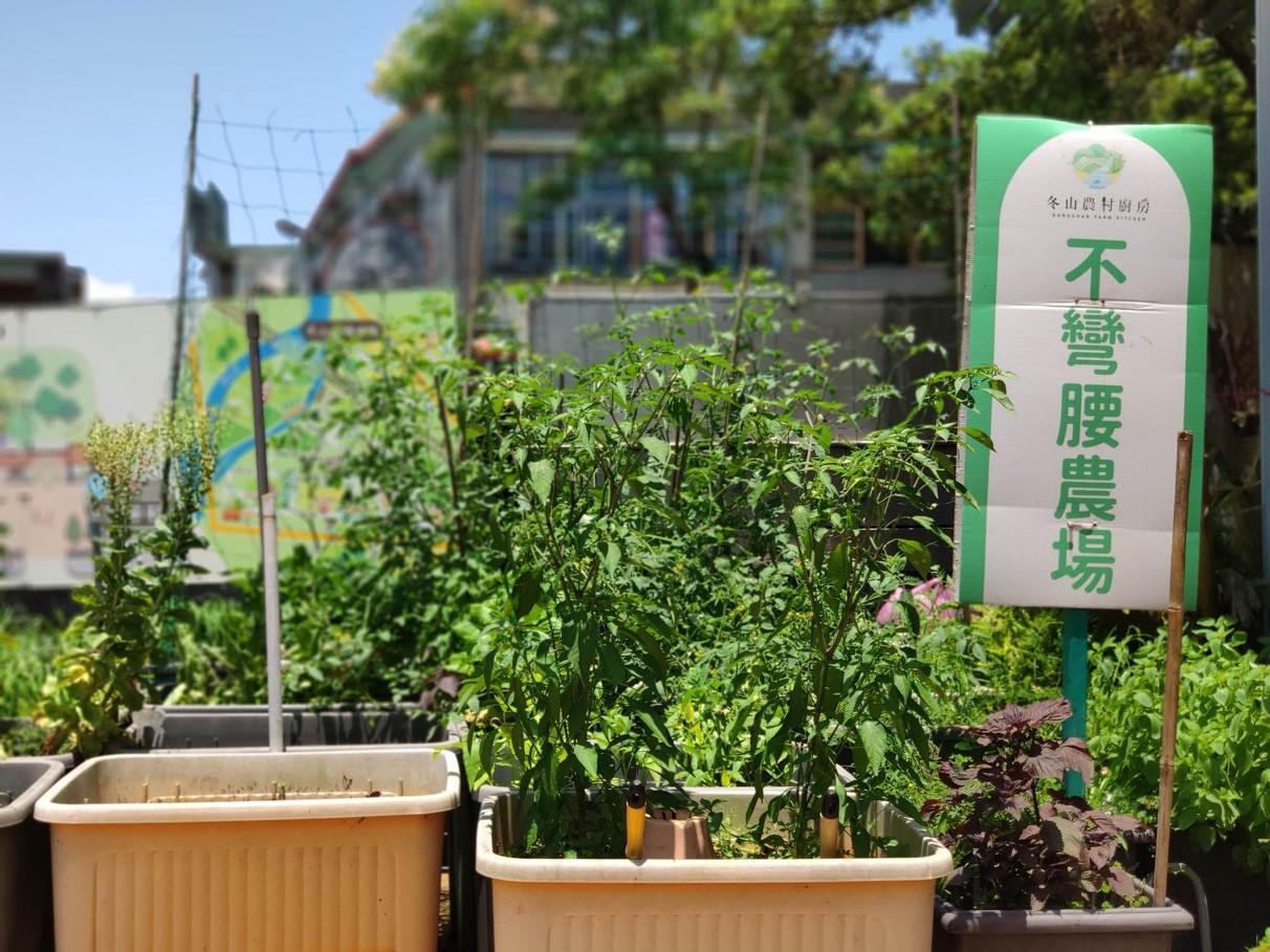 親子下田趣，香草種植樂，邊玩邊學農藝知識真豐富。（圖／冬山<a href='/search/tags/農村廚房/' target='_blank'>農村廚房</a>提供）
