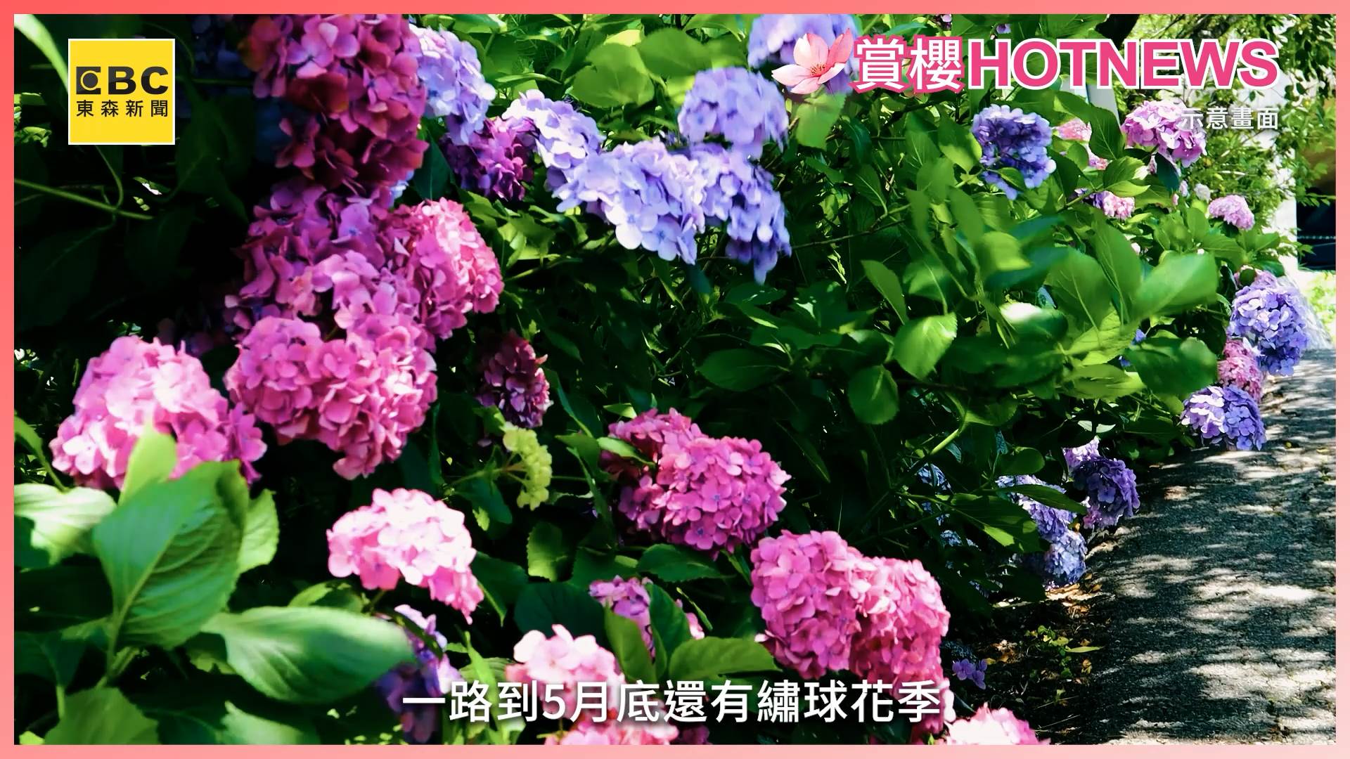 20251212_acopy_v2 (2).00_01_45_34.Still003