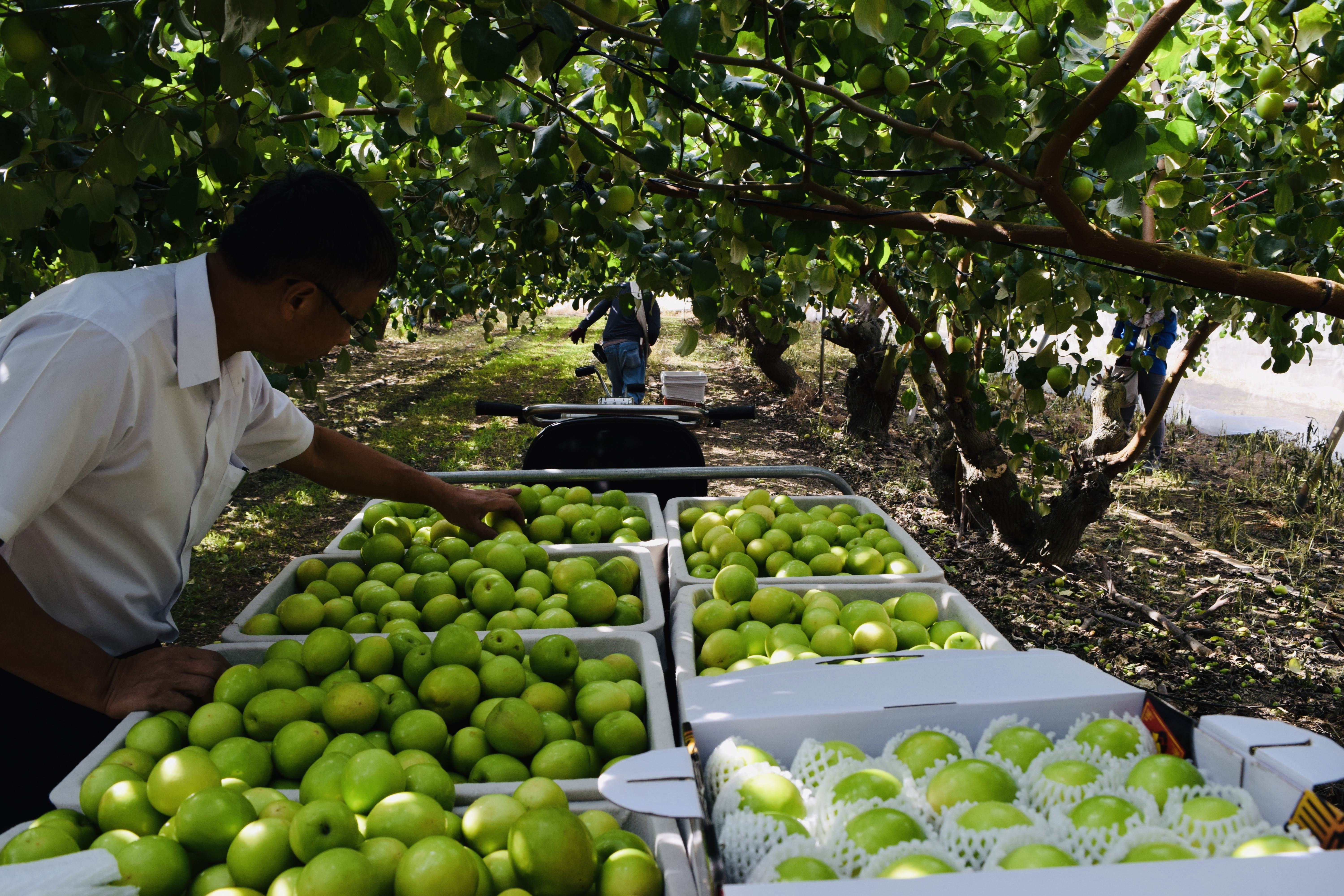 平台嚴選具產銷履歷與三章一Q認證產品，確保消費者購買來源透明、品質優良。（圖／業者提供）
