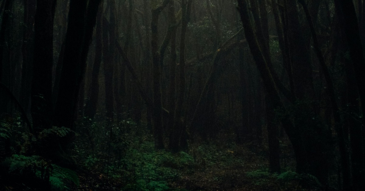 瑞士夫妻印度單車環島 夜宿森林竟遭7嫌搶劫性侵