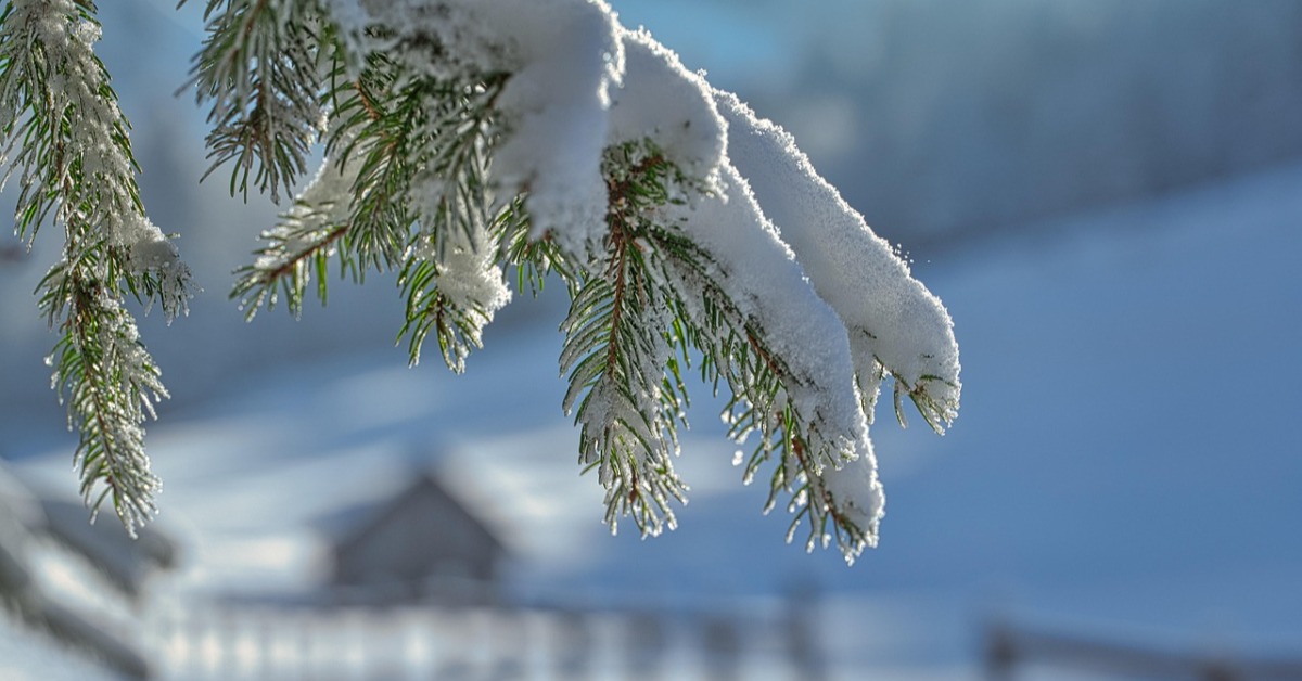 赴日注意！「阿信故鄉」山形暴雪近3米 900人困北海道機場