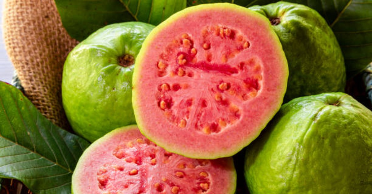 價高一直偷!彰化3芭樂農連2月慘遭竊 損失破萬