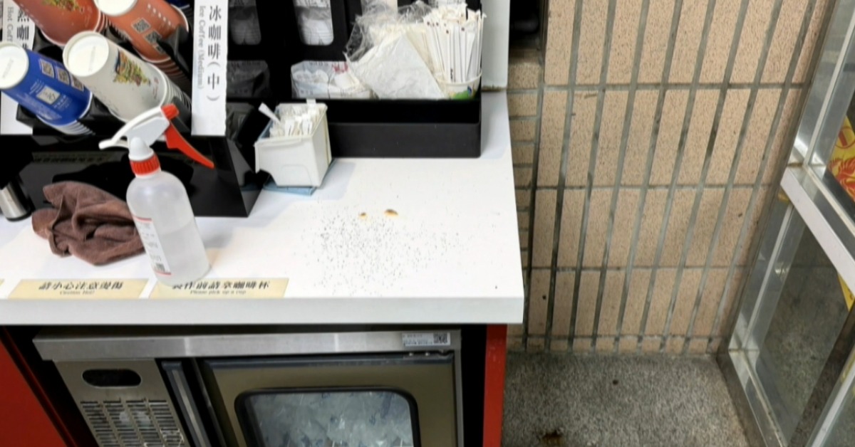 新北地院傳縱火案！女遭逮稱「為了燒螞蟻」