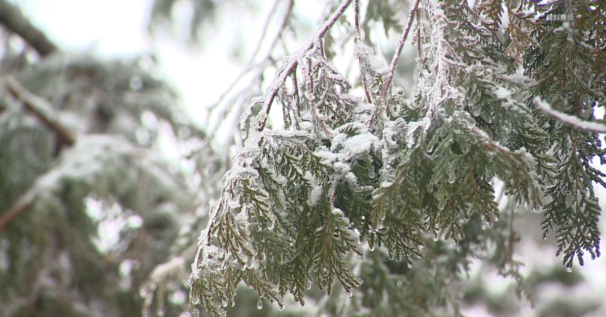 明、後天高山可能飄雪！ 平地破10度「挑戰寒流」