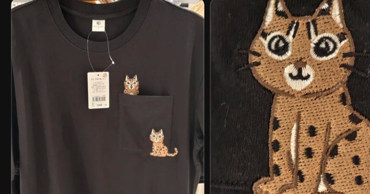 未經授權使用「石虎抱抱」圖案！NET認了：全面下架