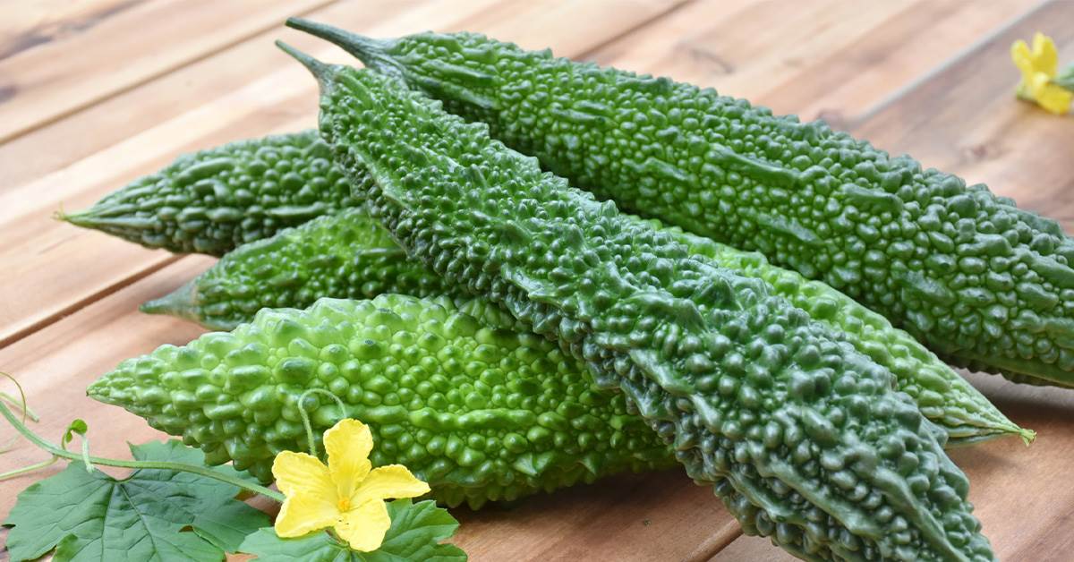 苦瓜胜肽有「植物胰島素」之稱，是近年來營養保健界的火熱成分。（圖／photoAC）