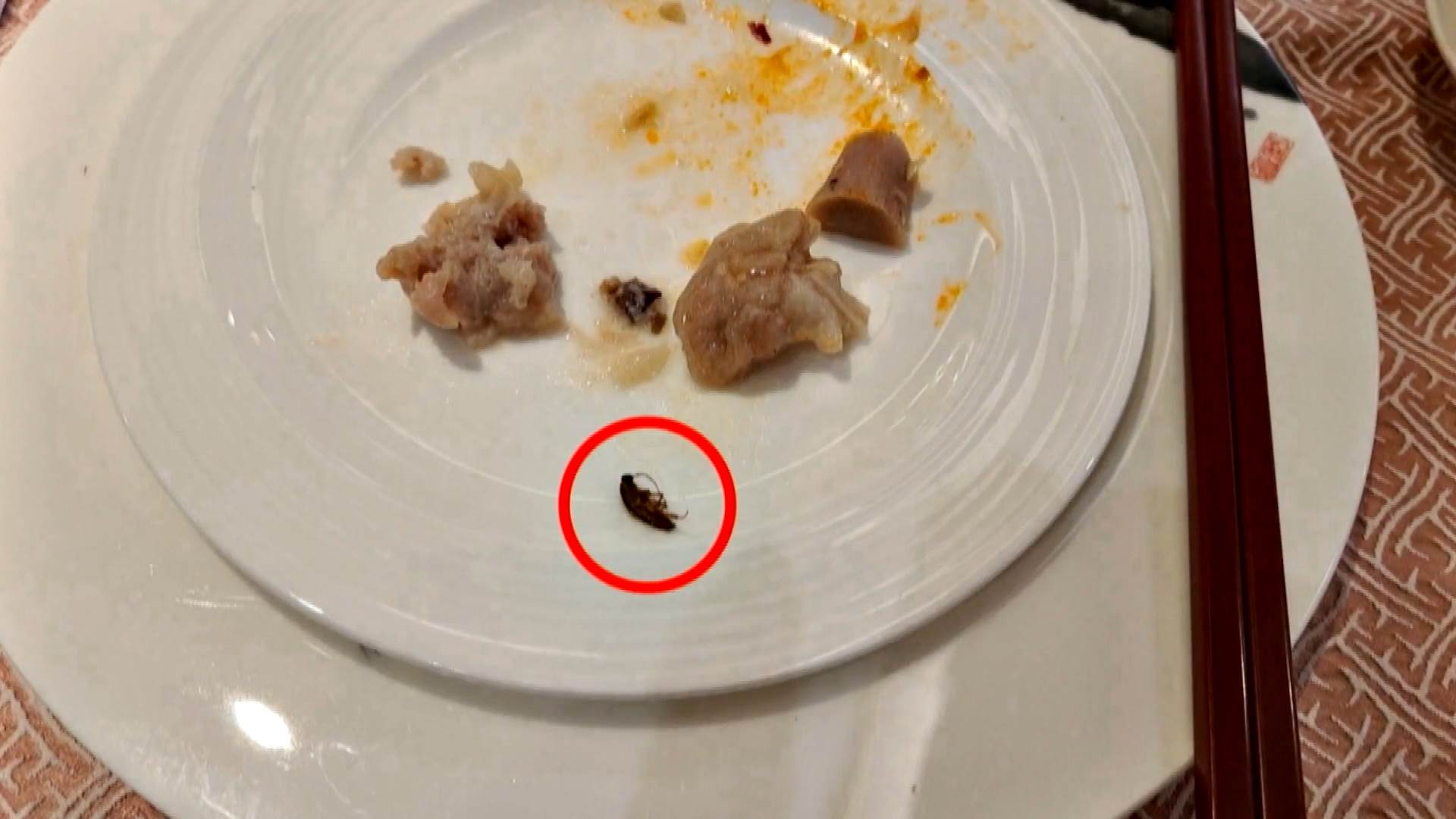 #1_Channel 3---2026_01_21---18_50_40---H264 8 bit---225---split007.mp4_snapshot_07.34.760