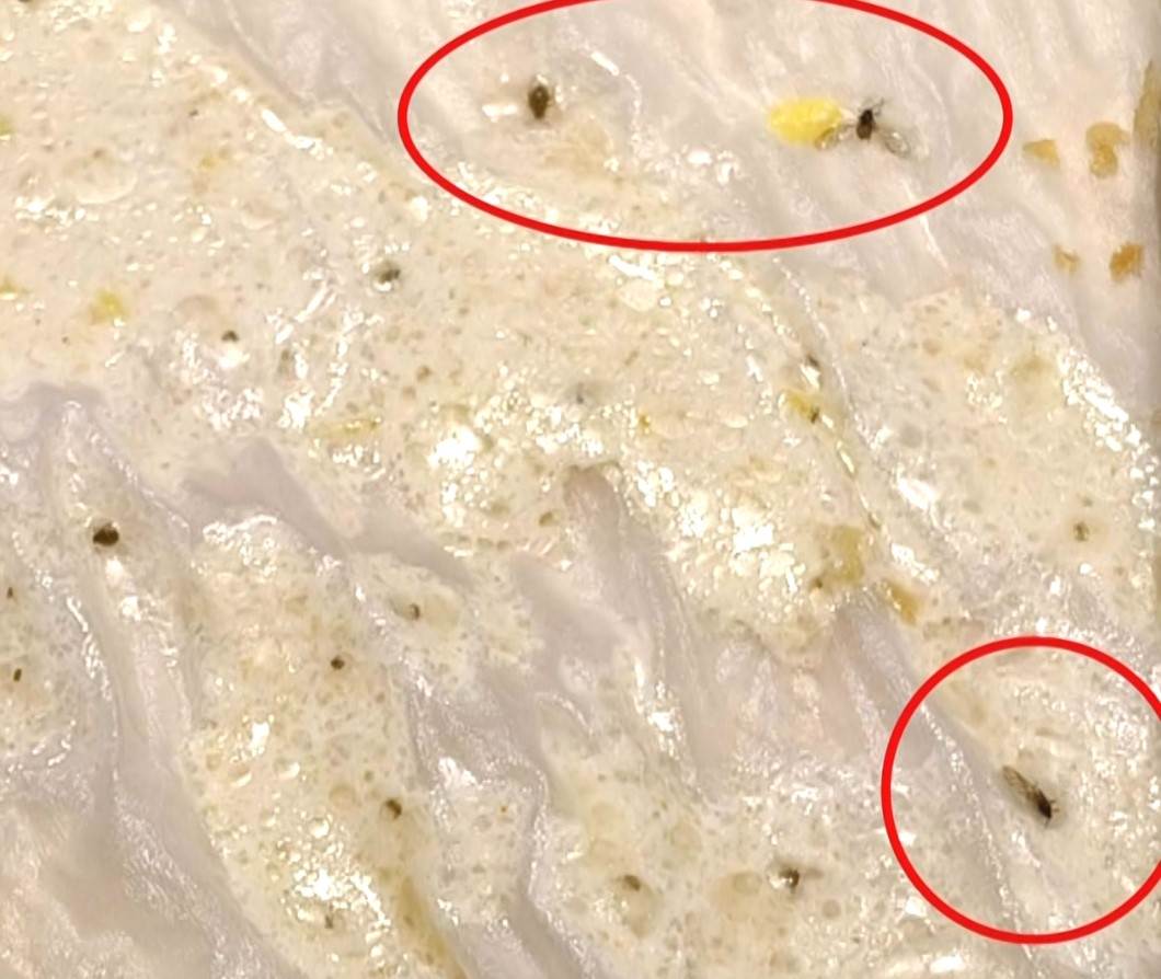 註解 2026-01-25 144455