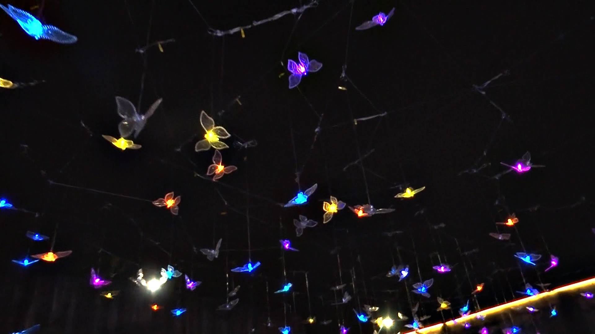 序列 18.00_00_49_25.Still012