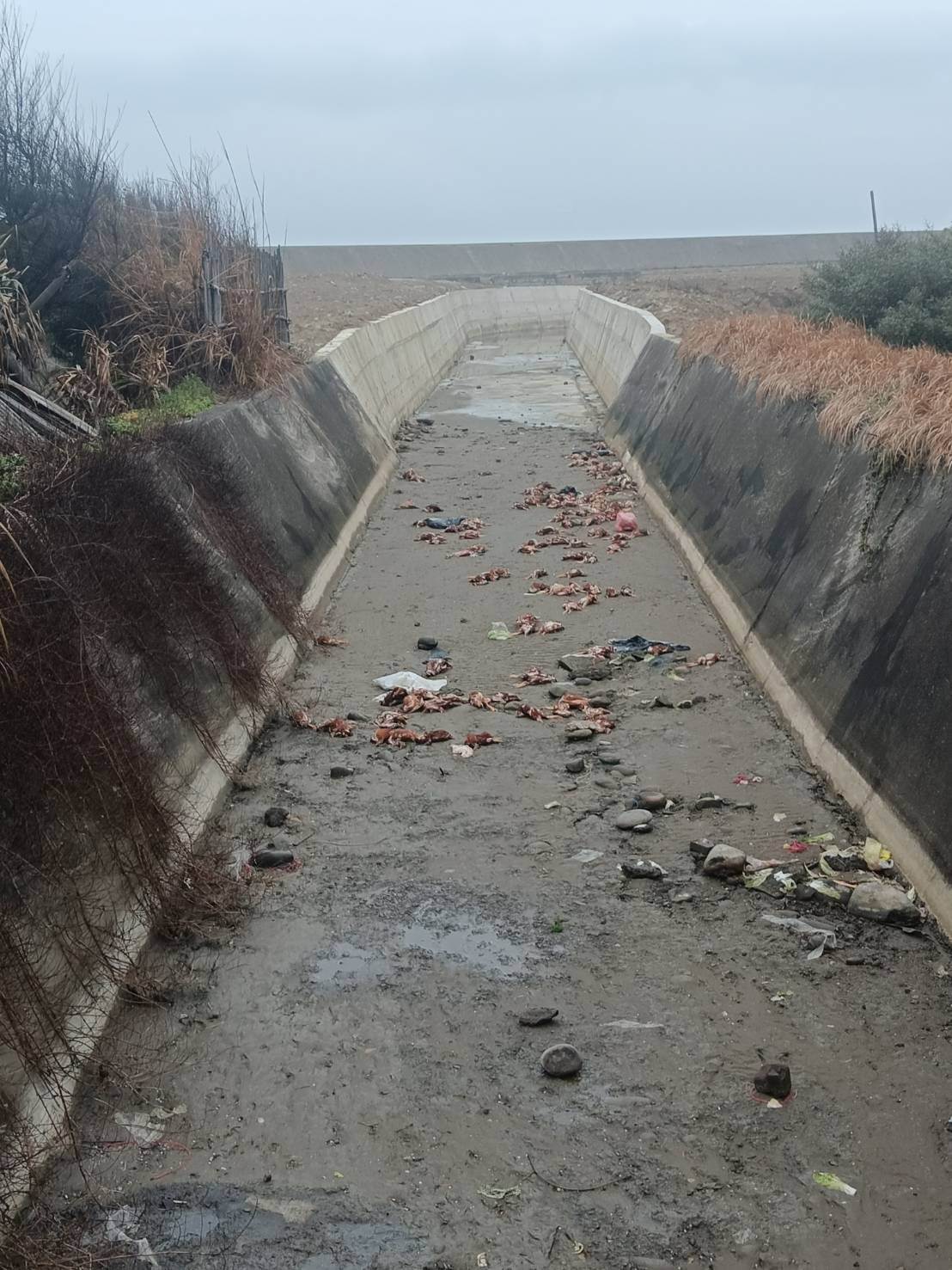 618666893_4007889499508487_8664718746287430917_n