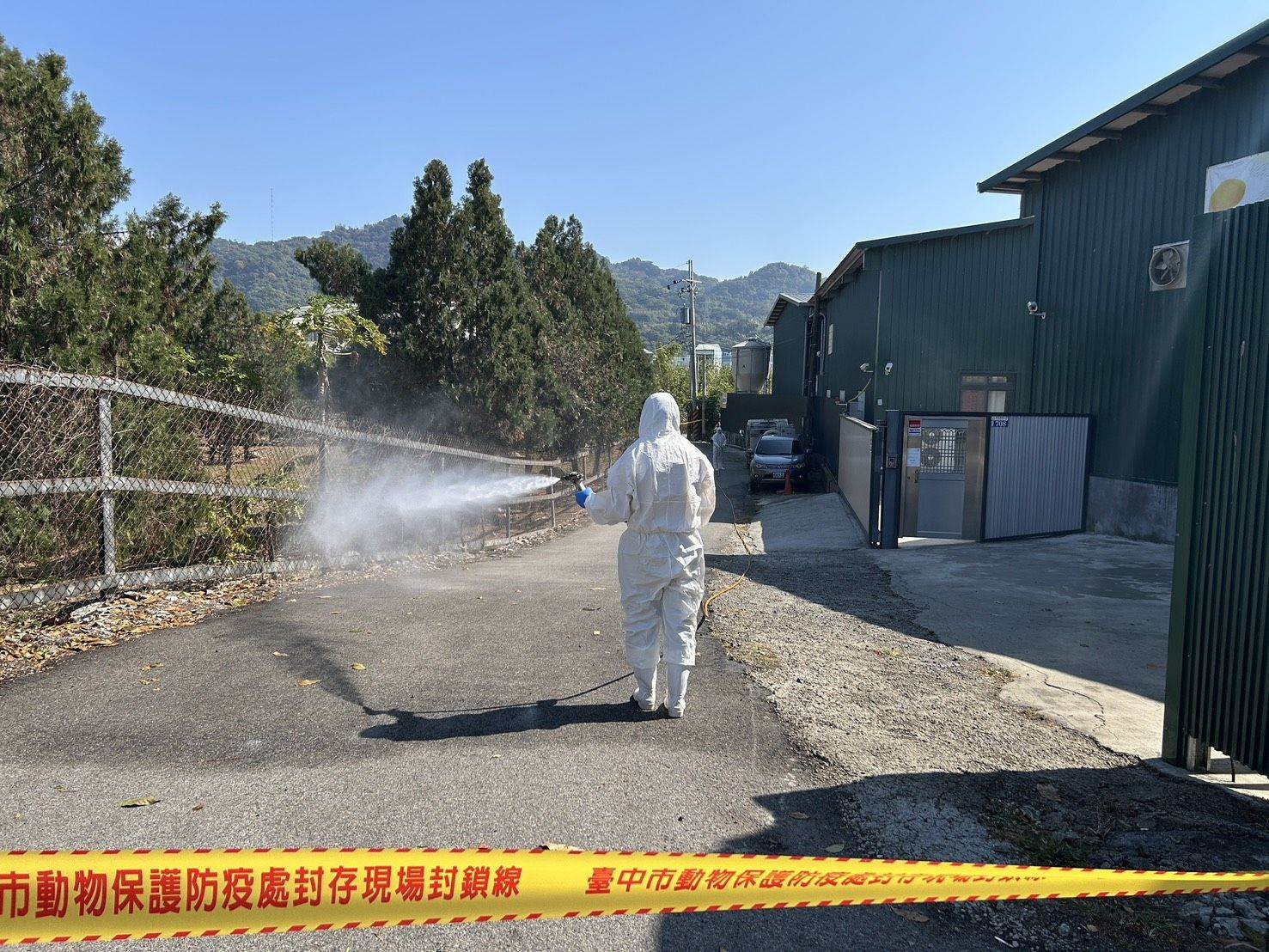 台中市大約171個雞場，已請各區公所全面進行訪查、避免傳染