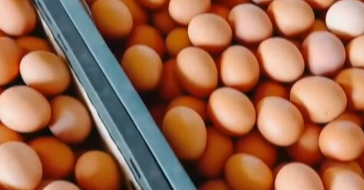 獨家／消費者炸鍋 豐康牧場：憑消費證明「全額退」