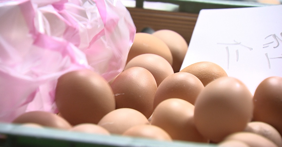 獨家／禽流感恐讓「蛋」再漲！蛋行估+3元=連4週漲