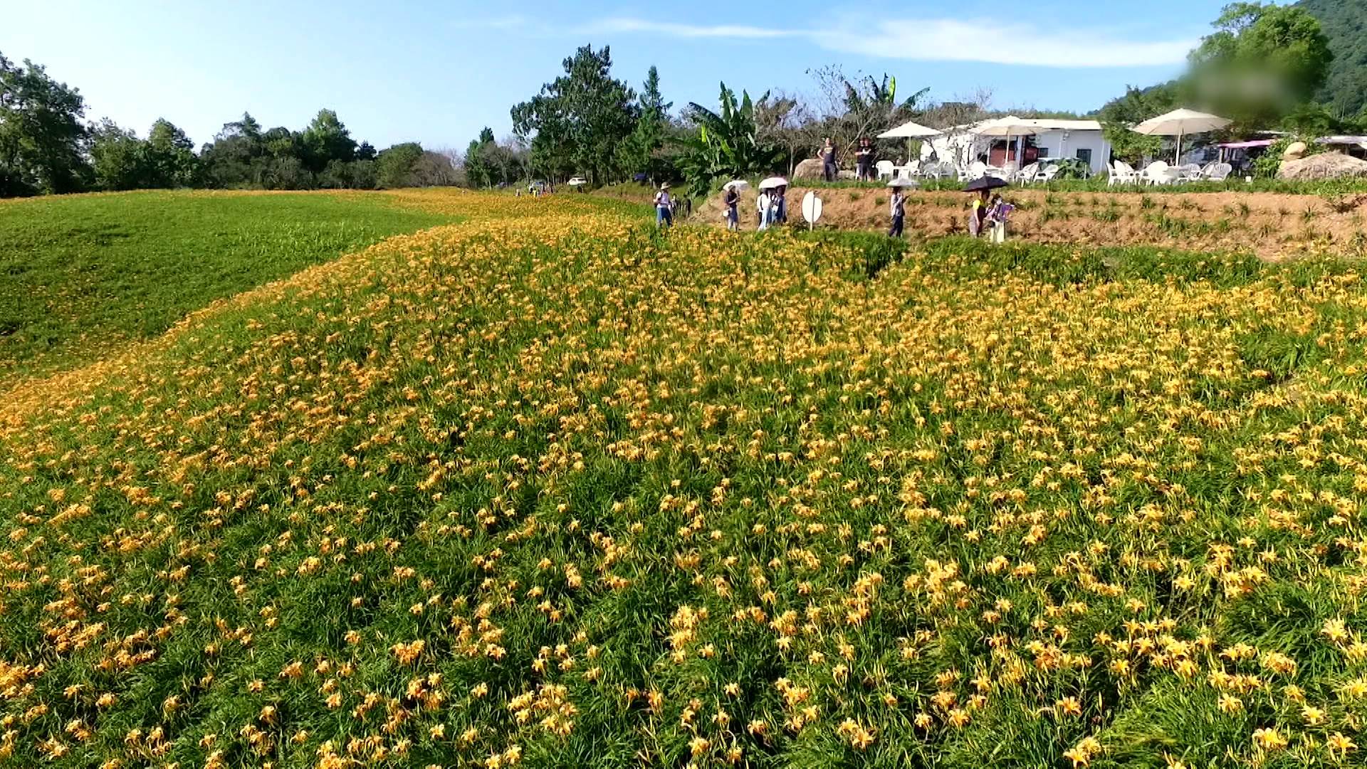 用鏡頭記錄，在花蓮原鄉部落的動人瞬間。（圖／東森新聞）