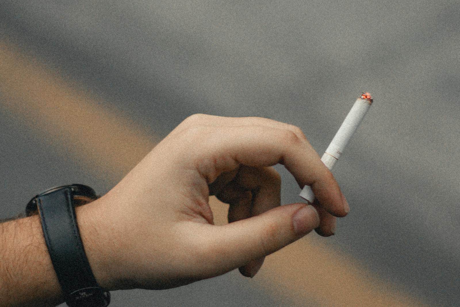 pexels-shamaunmalik-29649499