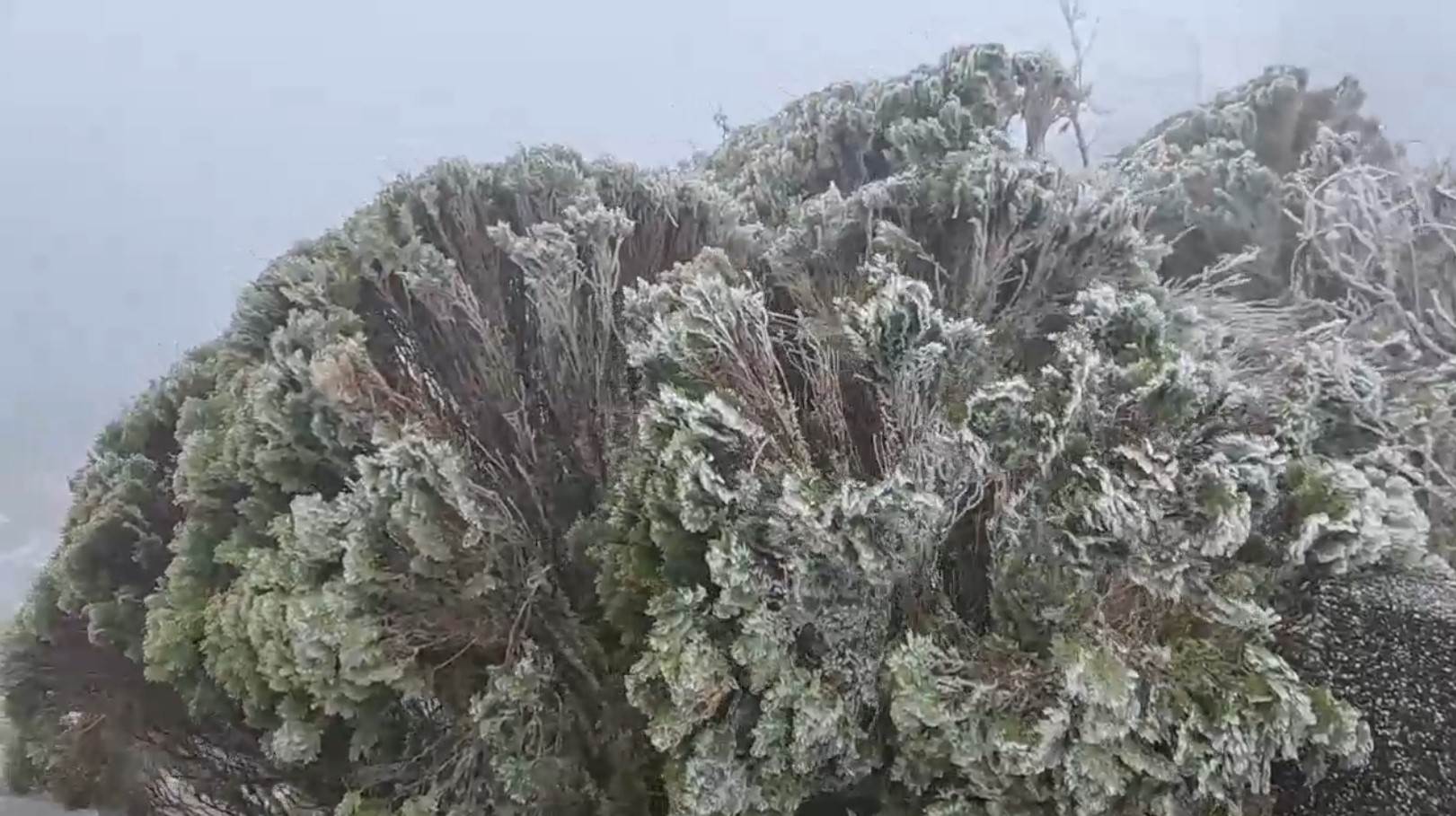 註解 2026-02-08 132043