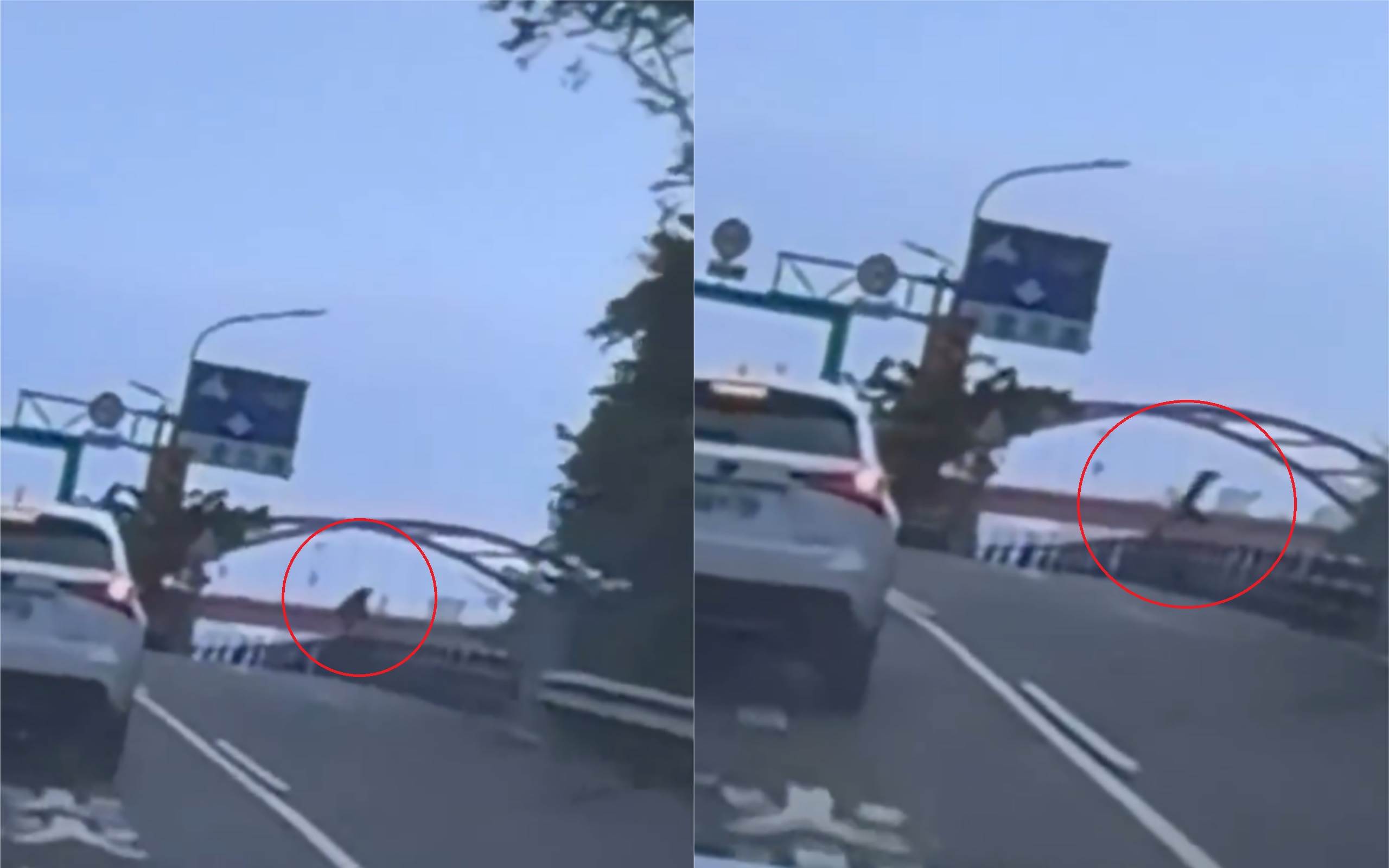 未命名拼图1 (6)