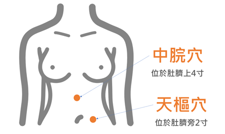 115春節留稿-2-中脘穴及天樞穴(圖片由謝昆哲醫師提供)