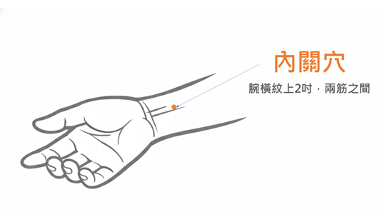 115春節留稿-2-內關穴(圖片由謝昆哲醫師提供)