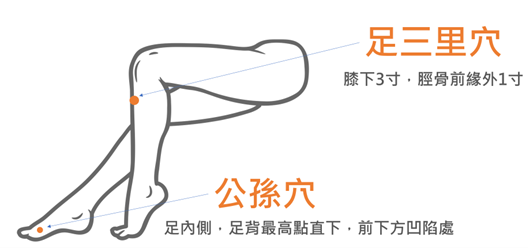 115春節留稿-2-足三里穴及公孫穴(圖片由謝昆哲醫師提供)