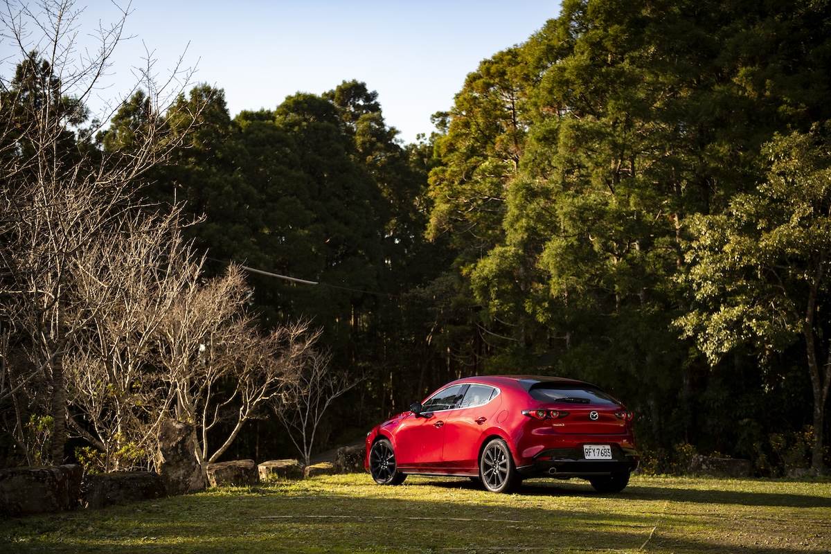 在不同光照與角度下，讓光影流線增添不需言語的美麗，在新春中，絕對是最耀眼的存在。（圖／江岱柏攝影）