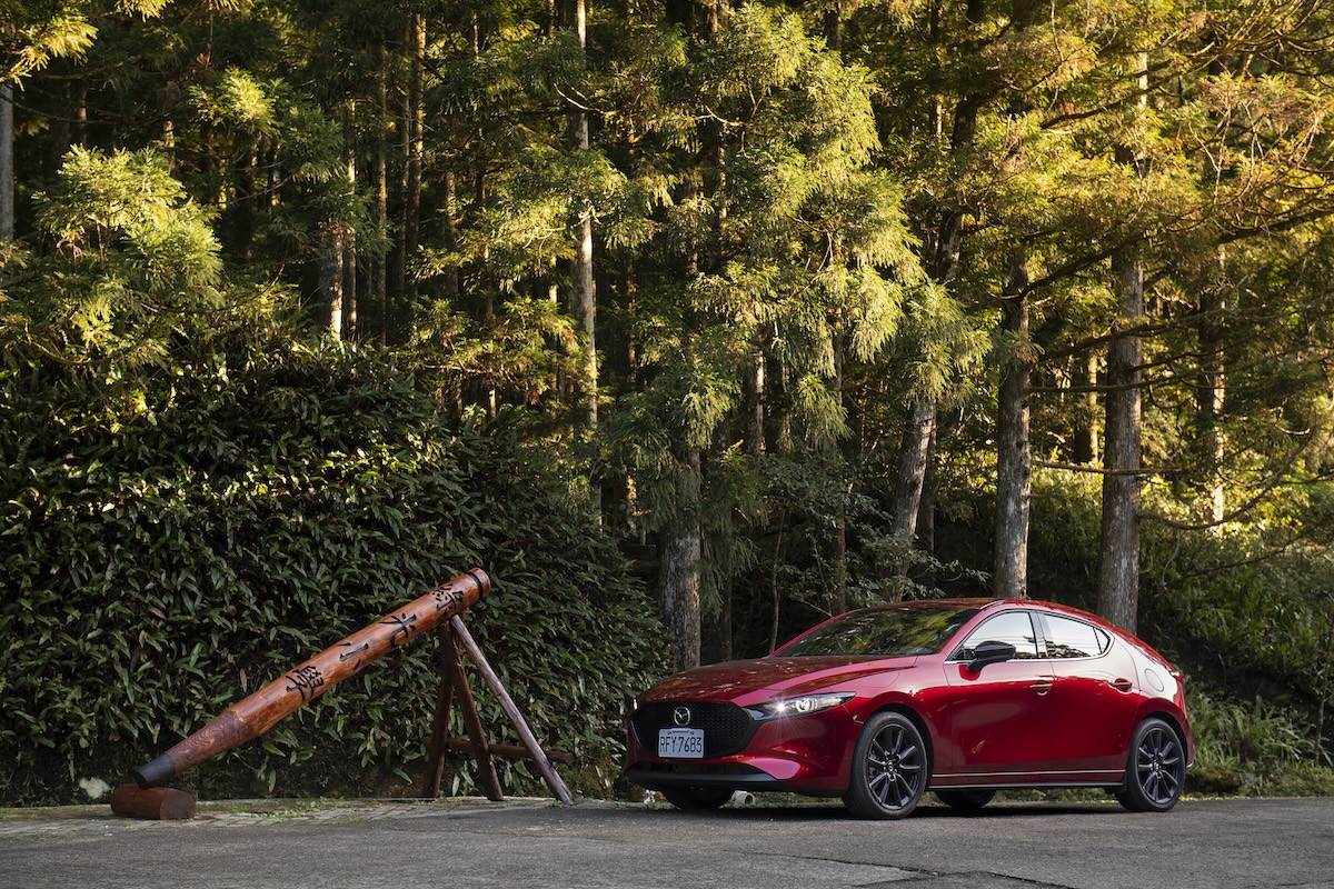 馬武督探索森林是20年前，偶像劇《綠光森林》的拍攝地。（圖／江岱柏攝影）