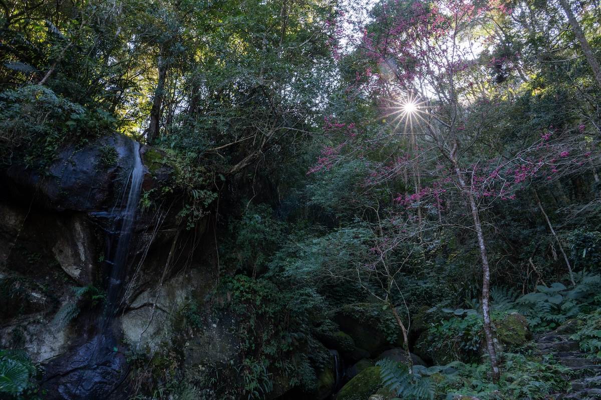 虹橋瀑布。（圖／林昱丞攝影）