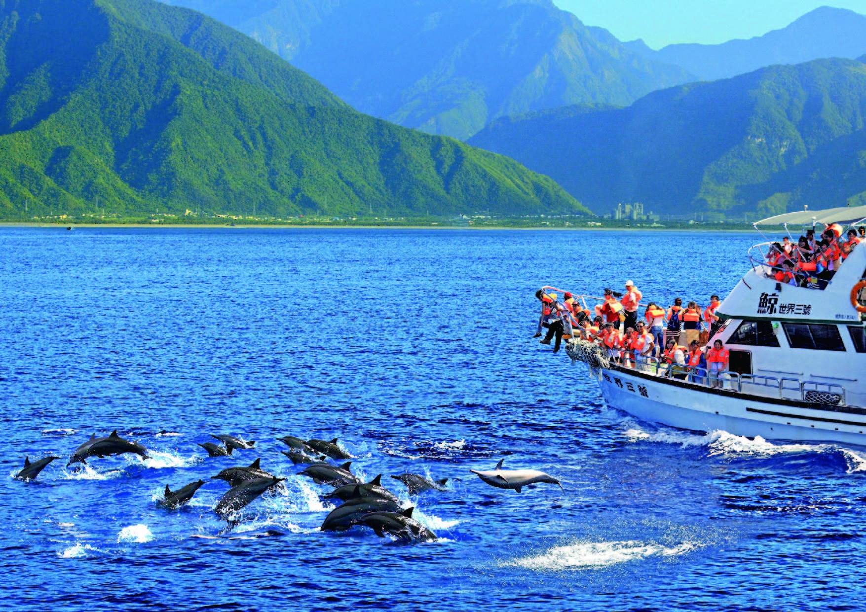 花蓮得天獨厚的環境,一直是台灣賞鯨的熱點。(圖/鯨世界賞鯨)