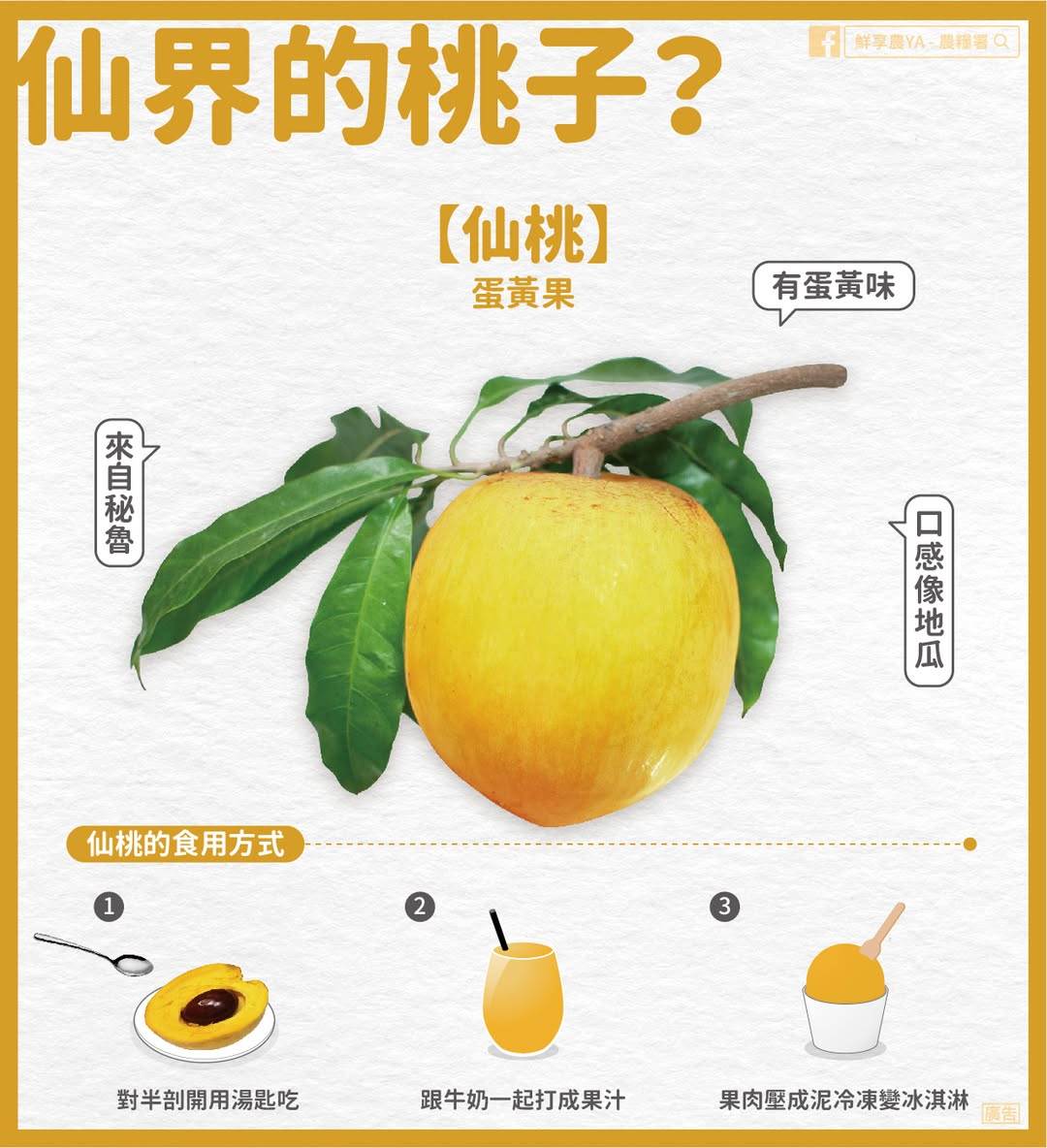 483726339_28902847242693139_5660208453499063484_n