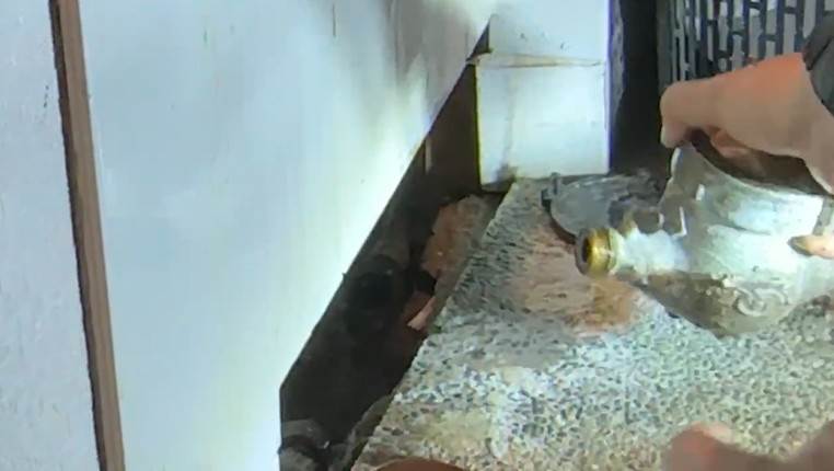 螢幕擷取畫面 2026-03-04 123341