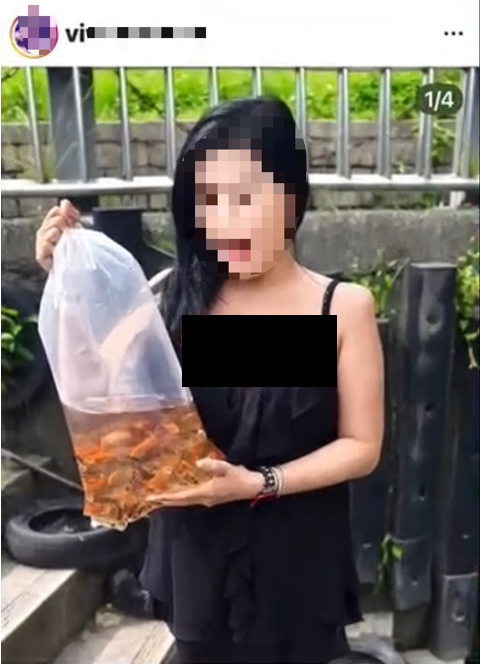 徐姓民眾所購買朱文錦