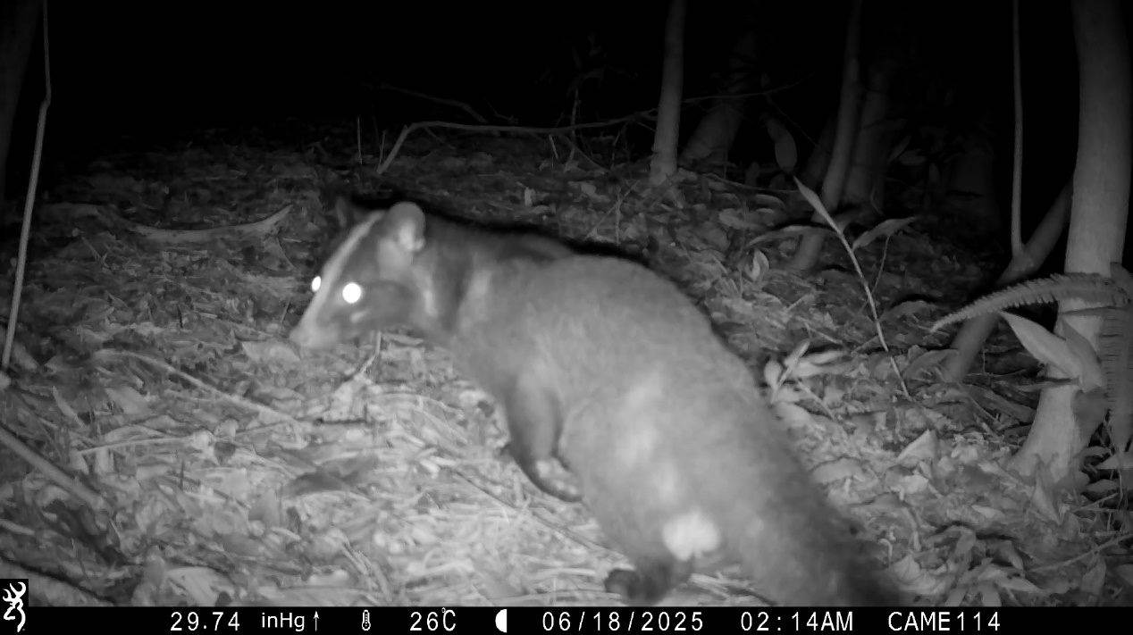 301d7ef3-2178-468d-9673-6e2c375cff68