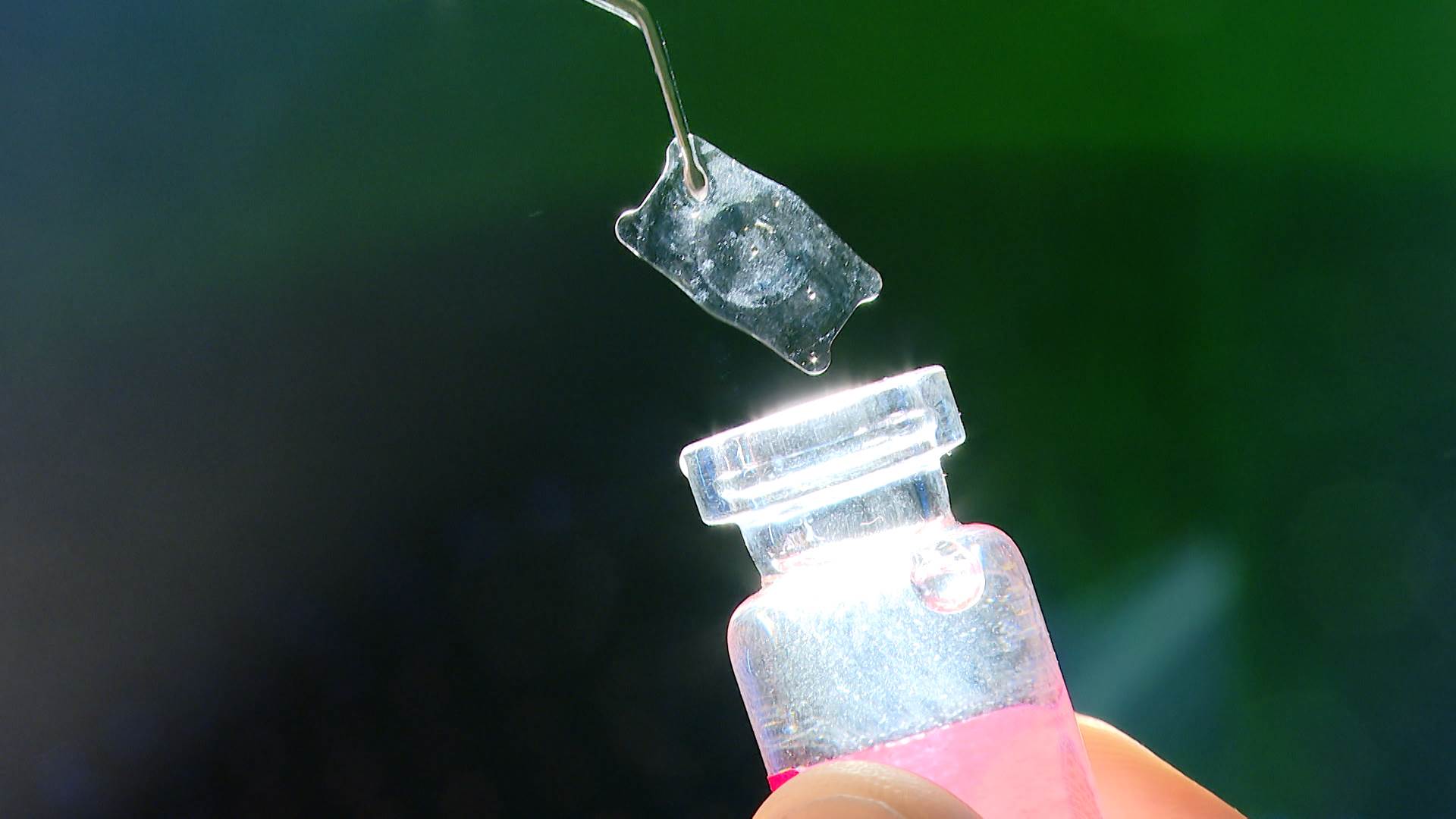 序列 18.00_00_10_29.Still008