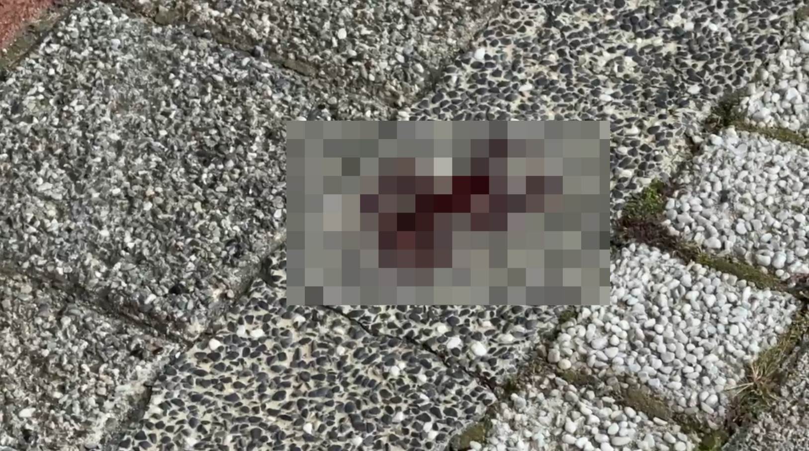 註解 2026-03-13 221610