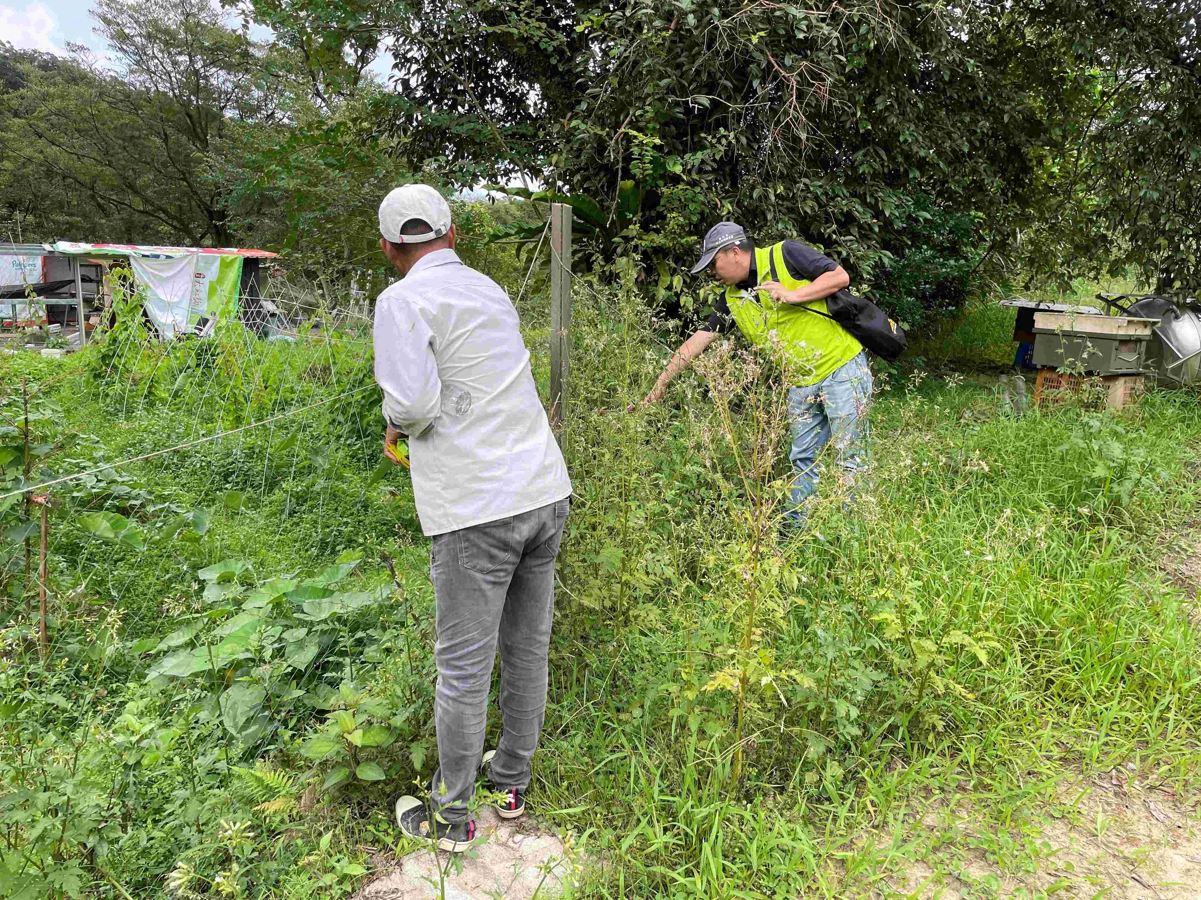 農民農耕需求需做擋土設施，新北市水保服務團協助至現場會勘，輔導申請施作砌石駁坎。（圖／新北市政府農業局提供）