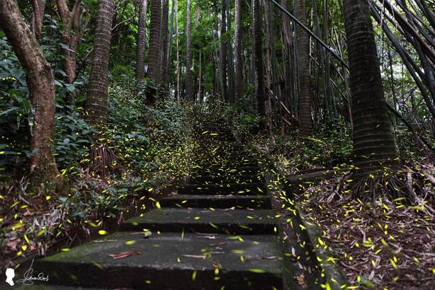 efbd0632-7d72-457a-bba7-52864ecaeb7e