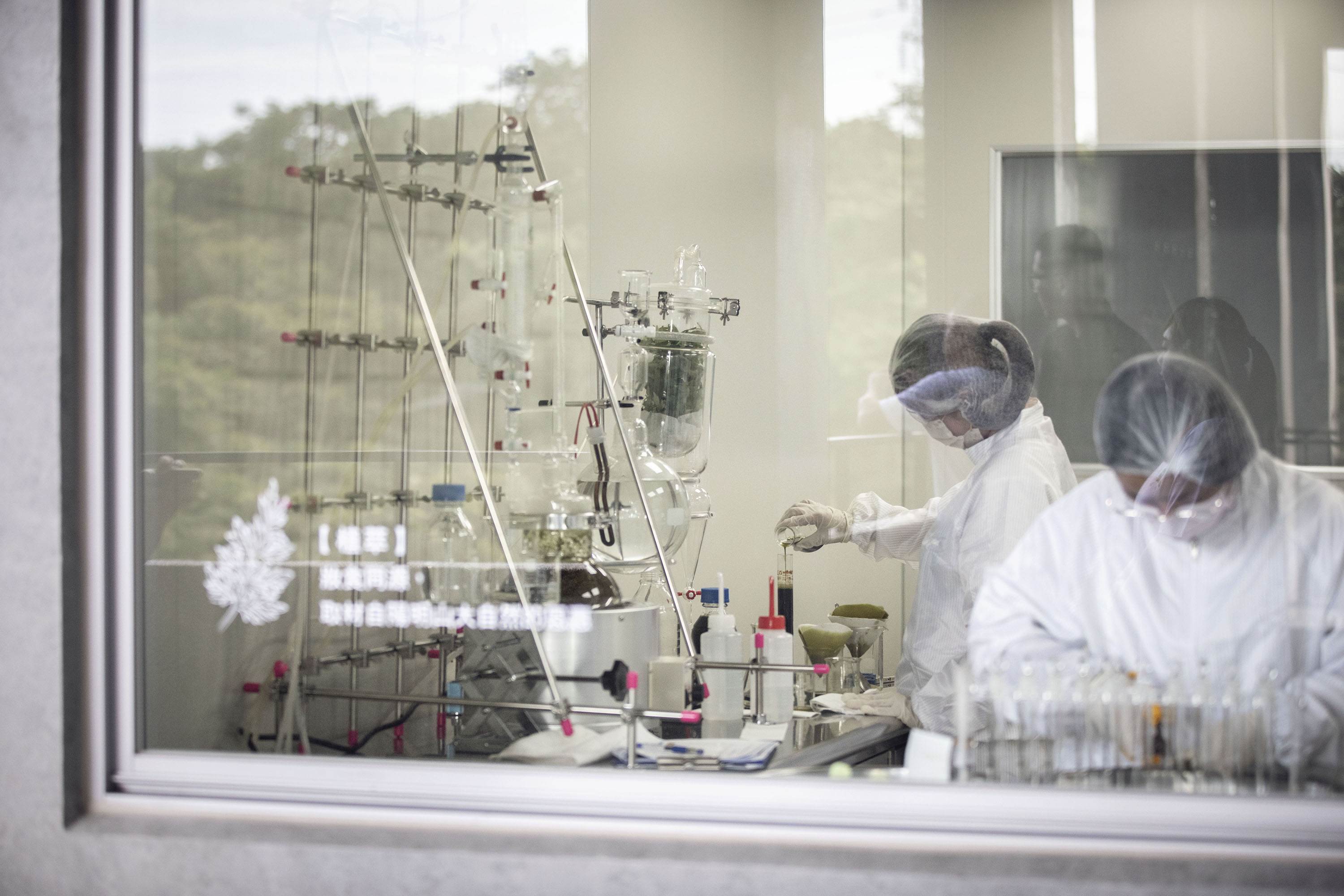 阿原歷時5年研發【人參豐盈養髮液】，結合黑參、植萃與精油從根本調理頭皮環境。（圖／阿原提供）