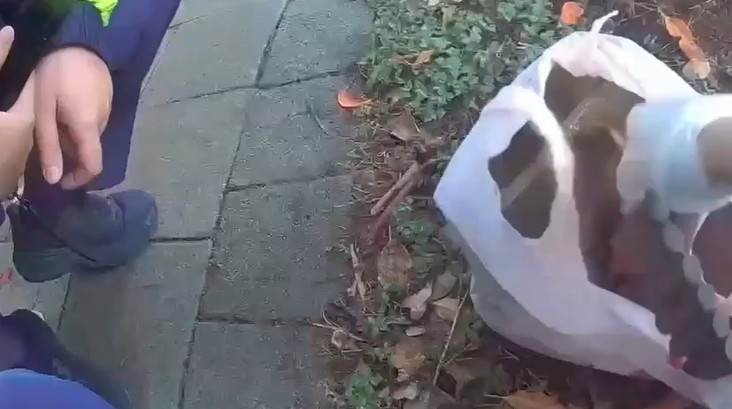 螢幕擷取畫面 2026-04-02 130849