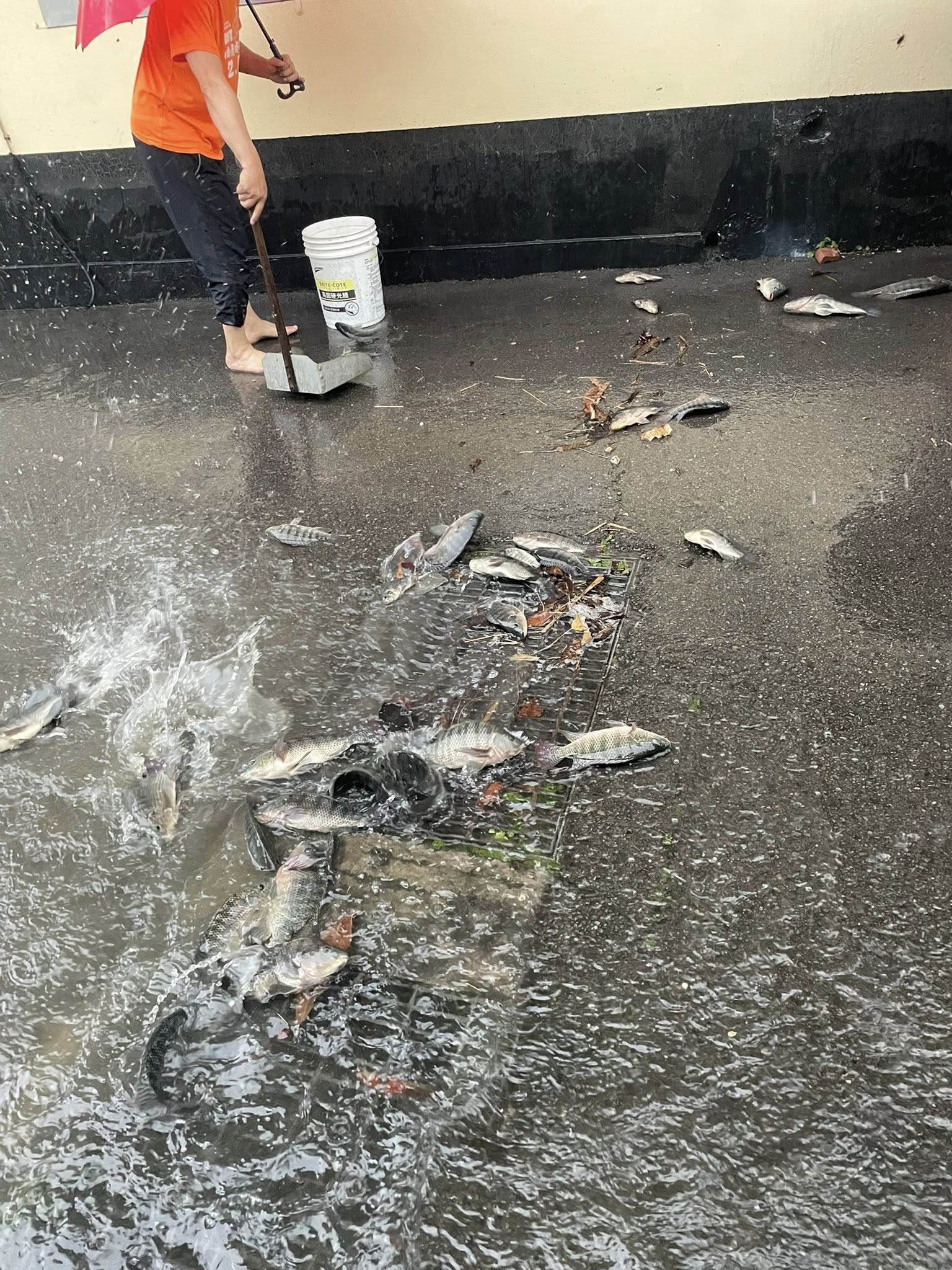 659126829_122269634096062821_339658552686083709_n (1)